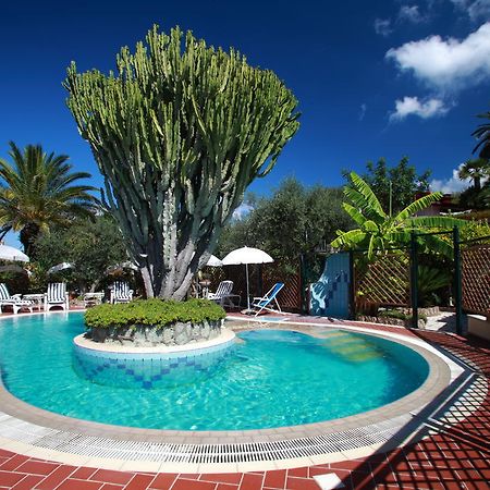 Residence Giardino Del Sole Forio di Ischia Buitenkant foto