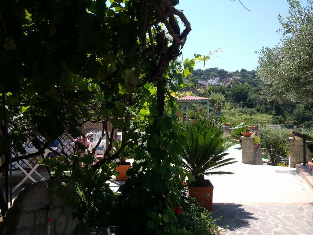Residence Giardino Del Sole Forio di Ischia Buitenkant foto
